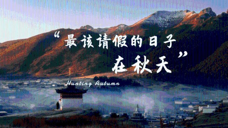 森迪公主的夏日服装